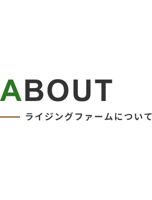 ABOUT ライジングファームについて