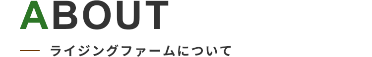 ABOUT ライジングファームについて