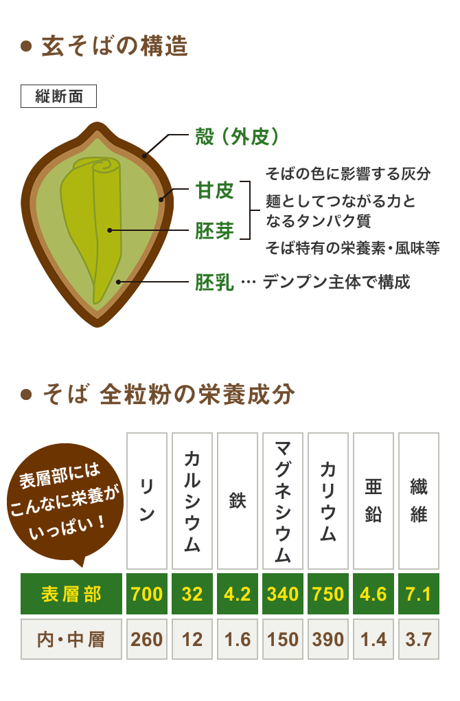 玄そばの構造 そば 全粒粉の栄養成分