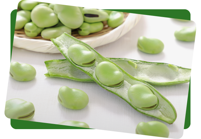 その他野菜（JGAP認証取得野菜）イメージ